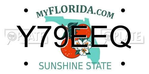Y79EEQ Florida License Plate