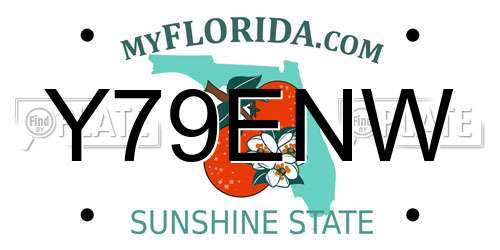 Y79ENW Florida License Plate