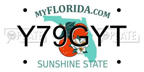 Y79GYT Florida License Plate