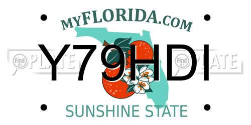 Y79HDI Florida License Plate