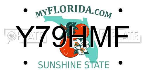 Y79HMF Florida License Plate