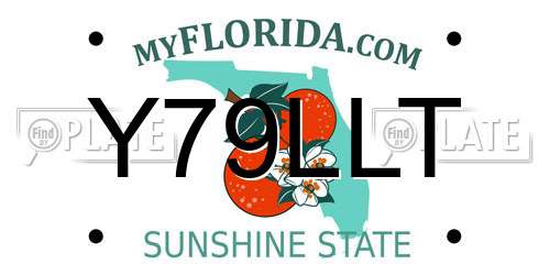 Y79LLT Florida License Plate