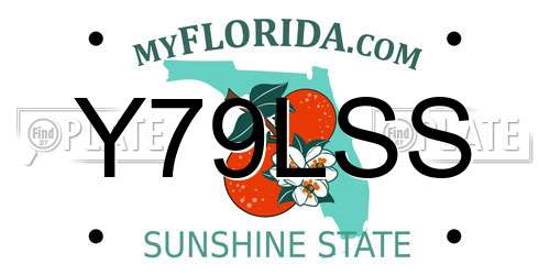 Y79LSS Florida License Plate