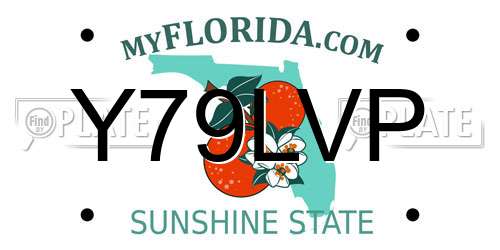 Y79LVP Florida License Plate