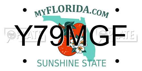 Y79MGF Florida License Plate