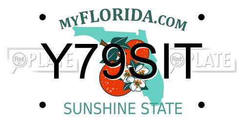 Y79SIT Florida License Plate