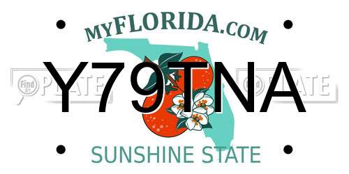 Y79TNA Florida License Plate