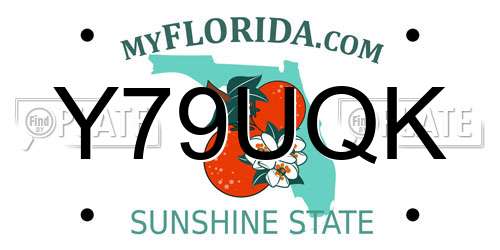 Y79UQK Florida License Plate