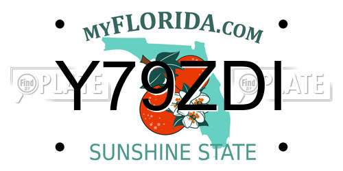 Y79ZDI Florida License Plate