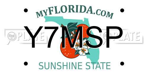 Y7MSP Florida License Plate