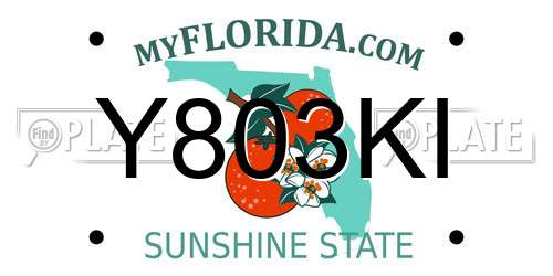 Y803KI Florida License Plate