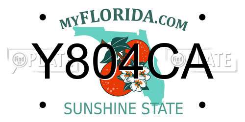 Y804CA Florida License Plate