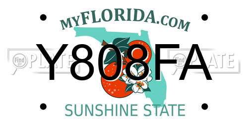 Y808FA Florida License Plate
