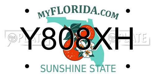 Y808XH Florida License Plate