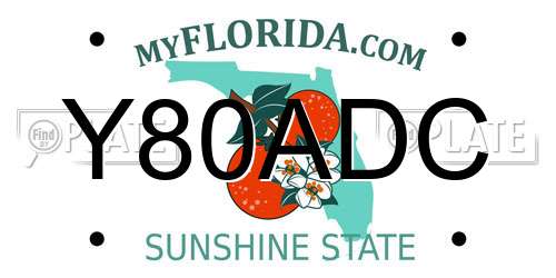 Y80ADC Florida License Plate