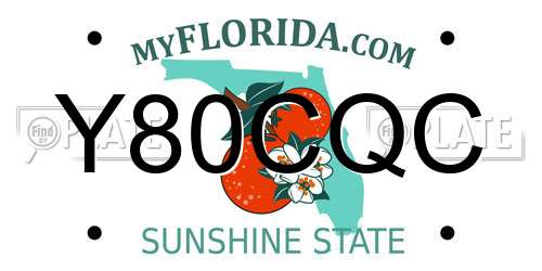 Y80CQC Florida License Plate