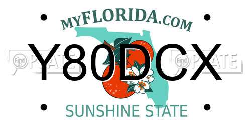 Y80DCX Florida License Plate