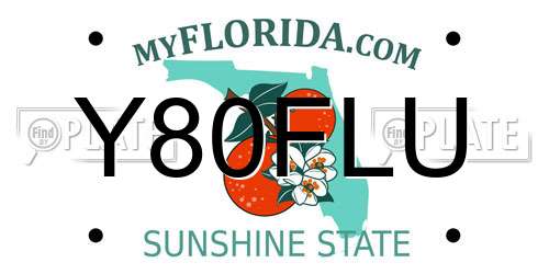 Y80FLU Florida License Plate