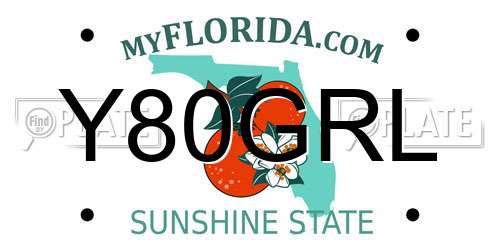 Y80GRL Florida License Plate