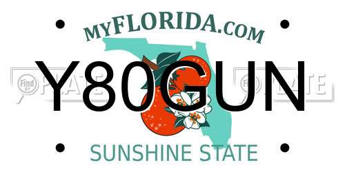 Y80GUN Florida License Plate
