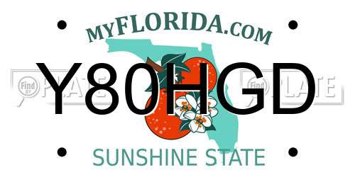 Y80HGD Florida License Plate