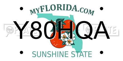 Y80HQA Florida License Plate