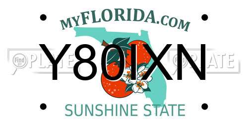 Y80IXN Florida License Plate