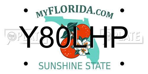 Y80LHP Florida License Plate