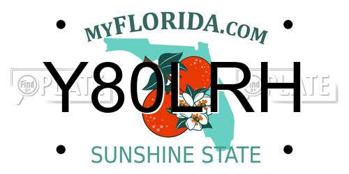 Y80LRH Florida License Plate