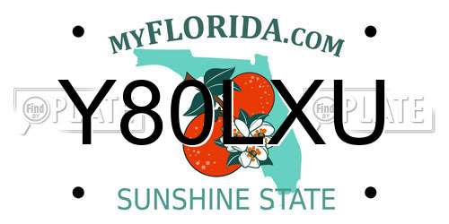 Y80LXU Florida License Plate