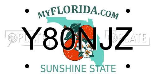Y80NJZ Florida License Plate