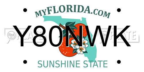 Y80NWK Florida License Plate