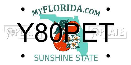 Y80PET Florida License Plate