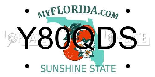 Y80QDS Florida License Plate