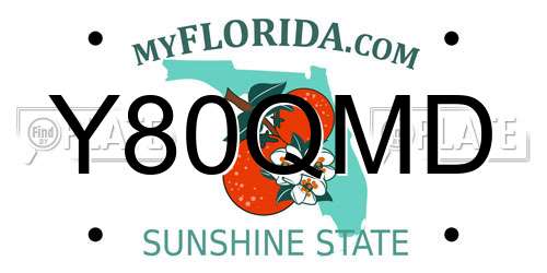 Y80QMD Florida License Plate