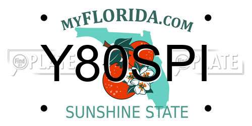 Y80SPI Florida License Plate