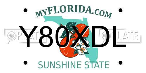 Y80XDL Florida License Plate