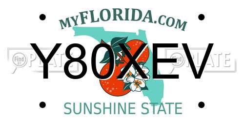 Y80XEV Florida License Plate