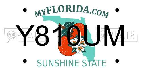 Y810UM Florida License Plate