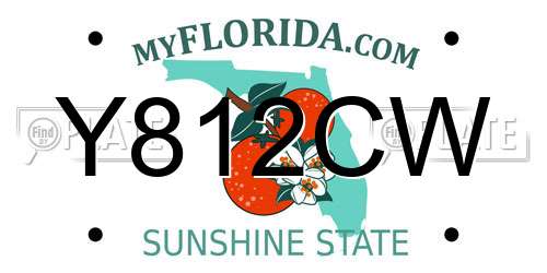 Y812CW Florida License Plate