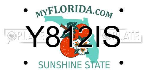 Y812IS Florida License Plate