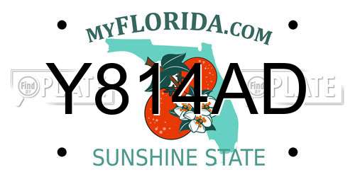 Y814AD Florida License Plate