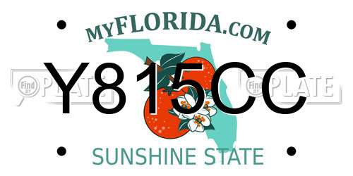 Y815CC Florida License Plate
