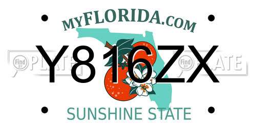 Y816ZX Florida License Plate