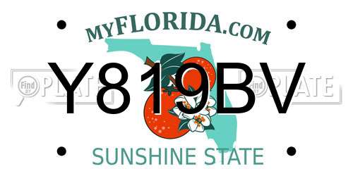 Y819BV Florida License Plate
