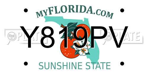 Y819PV Florida License Plate