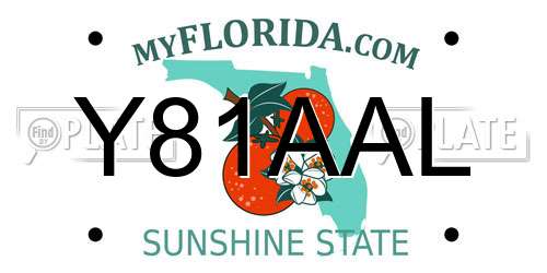 Y81AAL Florida License Plate
