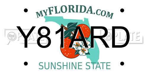 Y81ARD Florida License Plate