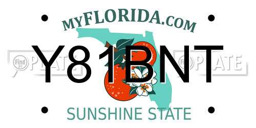 Y81BNT Florida License Plate