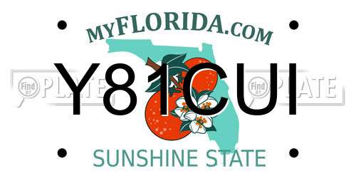 Y81CUI Florida License Plate